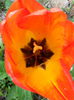 20140413_141237