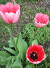20140413_141305