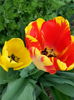 20140413_141337