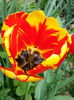20140413_141346
