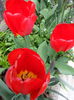 20140413_141428