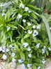 20140413_141451