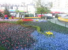 20140413_180951