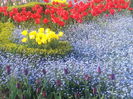 20140413_181051