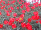 20140413_181317