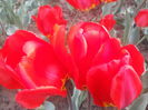 20140413_181341