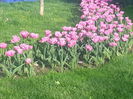 20140413_181428