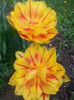 20140418_092206