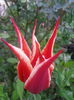 20140418_092302