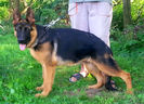 argo 5 luni
