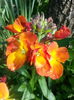 20140421_101206