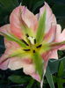 20140421_104036
