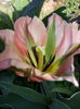 20140421_104042