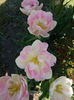 20140421_104830