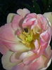 20140421_104840