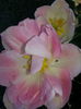 20140421_104853