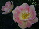 20140421_104953