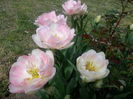 20140421_121925