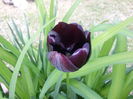 20140421_122009