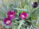 20140421_122054