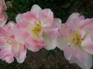 20140423_165408