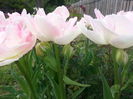 20140423_165434
