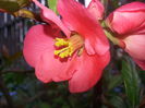 20140423_165536