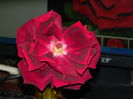 DSCN9246