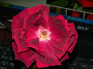 DSCN9249