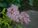 DSCN9270