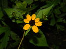 DSCN9271