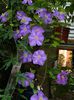 DSCN9277