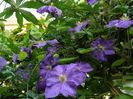 DSCN9285