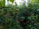 DSCN9294