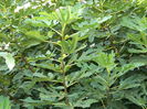 DSCN9301