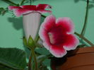 DSCN9316