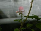 DSCN9317