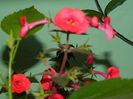 DSCN9322