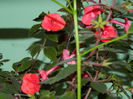 DSCN9324