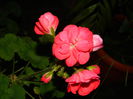 DSCN9327