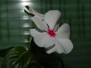 DSCN9330