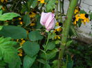DSCN9343