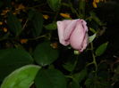 DSCN9344