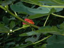 DSCN9348