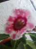 IMG_20140918_162813