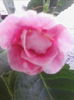 IMG_20140918_162847