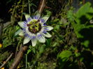 DSCN9359