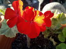 IMG_20140919_165702
