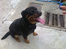 HERRA