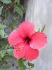 DSCF0084